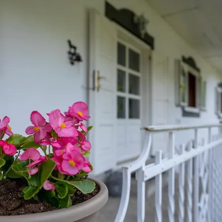 Villa Amalia, Centrum Banska Stiavnica, Parkovanie Pre 2 Auta, Velka Zahrada S Krbom, Cela Villa Amalia Pre 14 Osob Alebo Samostatne Nezavisle Prve Podlazie Villa Ama Pre 6 Osob Alebo Samostatne Nezavisle Podkrovie Villa Lia Pre 8 Osob,Pristup Cez Pi Exterior photo