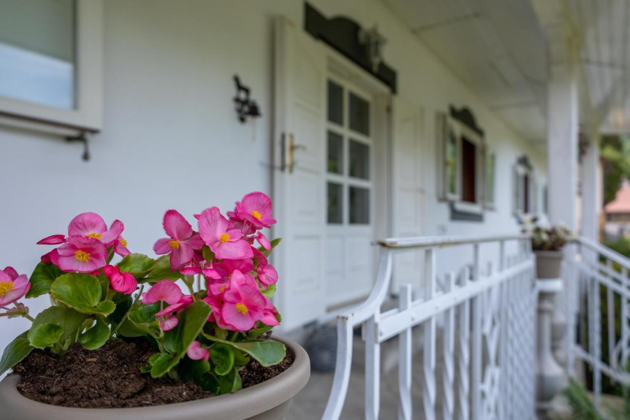 Villa Amalia: Spacious Garden Retreat With Fireplace In *